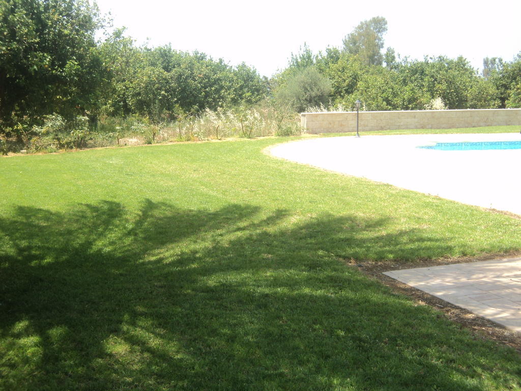 Citrus Grove Villa Аргака Номер фото